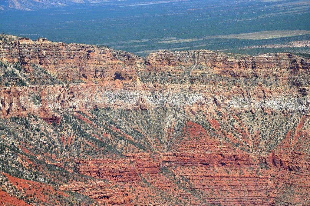 Grand Canyon / Kaibab National Forest vanuit de lucht