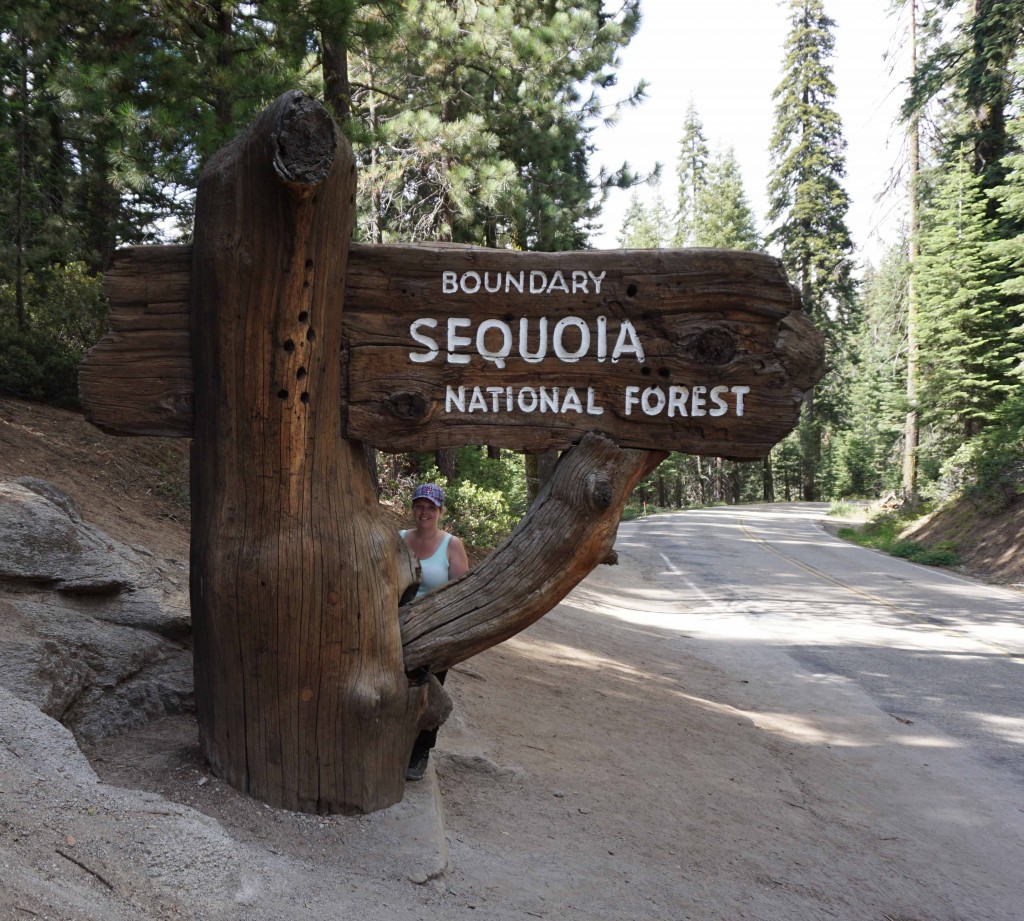 Welcome to Sequoia NP